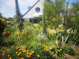 B&B / Chambres d'hotes Chambre dans Maison fleurie et calme : Chambre Double - Vue sur Jardin