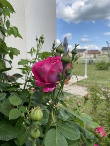 Appart'hotels Villa Bellagio Amboise by Popinns : photos des chambres