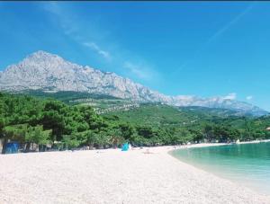 Superior apt, 4 rooms, 4 bathrooms