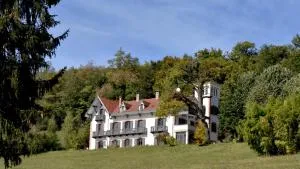 多曼德多尼旅馆 - Thodure