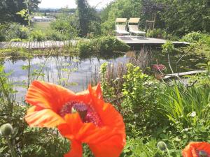 Apartment Green Elephant
