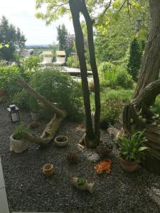 Apartment Green Elephant