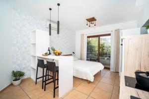 Apartment IVA Studio