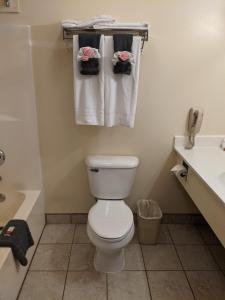 Double Room room in Horizon Hotel