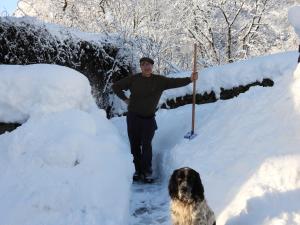 B&B / Chambres d'hotes Le Figarelou : Chambre Double - Vue sur Jardin