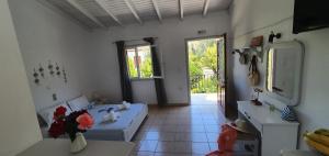 APHRODITE studios & apt with pool Paxoi Greece