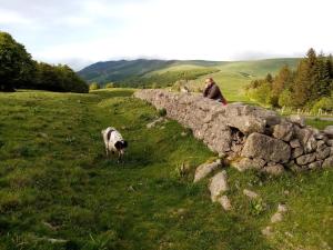 B&B / Chambres d'hotes Le Figarelou : photos des chambres