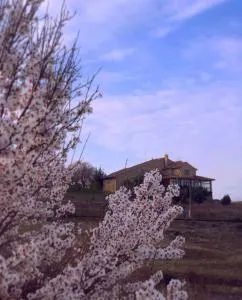 Finca Privada 6 hectareas Villa-Santa Escolástica - 塞普尔韦达