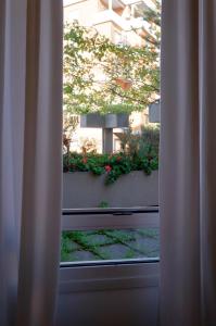 Business Single Room