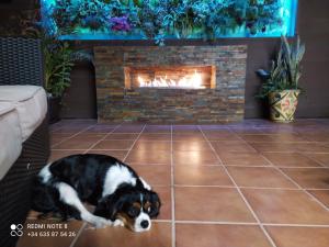 3 BDR House near La Zenia PRIVATE lounge terraces, fire places, BBQ, kitchen, parking