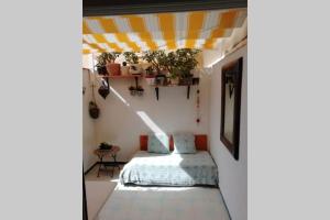 Lovely studio, terrace, swim pool, nature, relax!!