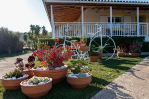 Fully Equipped Beach House at Pachia Ammos Plytra