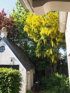 De oude dokterspraktijk