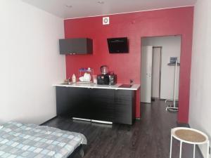 One-Bedroom Apartment room in Кудрова , ул. Пражская 13 Апартамент **У Дыбенко**