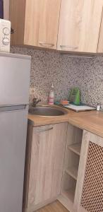 VIP Apartments in Sozopol