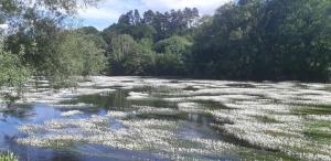 La casa del tio Antonio