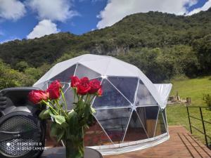 Glamping hermoso amanecer