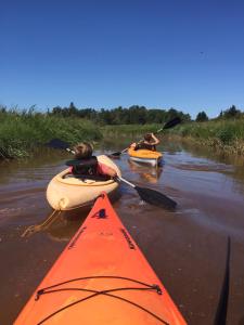 Amherst Cove Cottage # 5