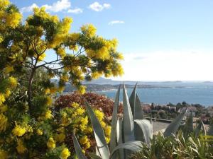 Appartements Studio Bandol Centre 2 etoiles ideal emplacement : photos des chambres