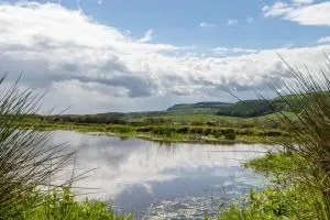 The Grainary Cottages - 惠特比