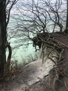 Hering FeWo II Apartment Balcony