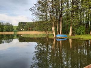 Leśny Dworek - Apartamenty SUPER z TV i salonem kominkowym