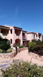 Fiordaliso Aurora img25