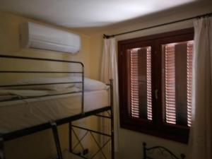 Fiordaliso Aurora img26