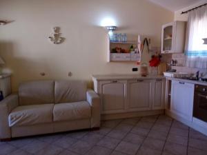 Fiordaliso Aurora img30