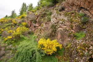 B&B / Chambres d'hotes Moulin des Comtes - Chambre les Rochers : Chambre Double avec Balcon