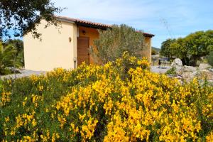 Agriturismo Rocce Bianche img41