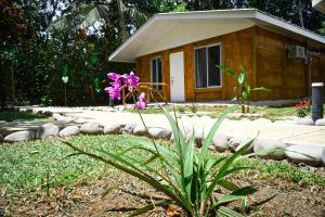 Tropical Paradise Bungalows