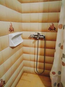 GOLDEN STAR Aegina Greece