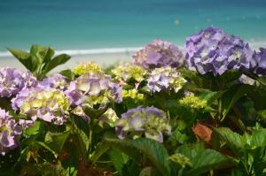 Hotels Hotel Les Costans, The Originals Relais : photos des chambres