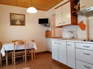 Počitniško stanovanje PLANJA