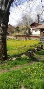 Pensiune Piatra Mare - 内霍瓦