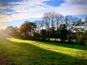 B&B / Chambres d'hotes Le Cerisier Saint-Barbant : photos des chambres