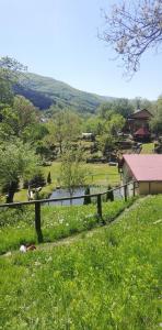 Pensiune Piatra Mare