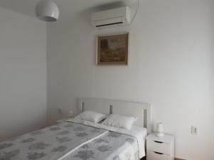 Apartment Dušan 