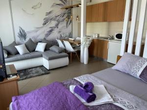 Apartman Lukić