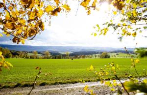 Ferienwohnung im Erzgebirge