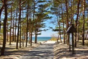 2.5 kambarių butas per du aukštus su baseinu