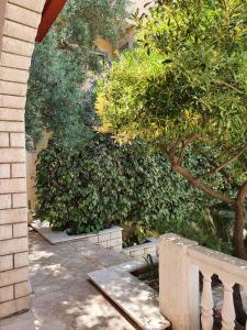 Apartments Boreta II