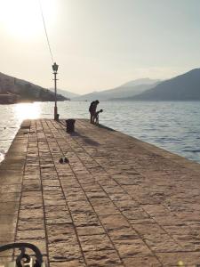 Studio Apartments Krasici