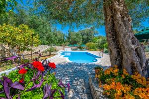 LIvadi Studios with Pool Paxoi Greece