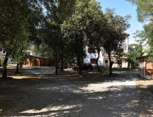 Big apartment on the seaside
