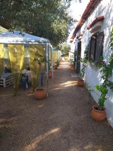 TRADITIONAL ROOM the small museum IONIAN SEA Ilia Greece