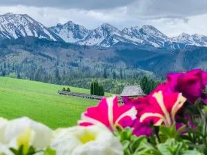 Chracowka - 希切玛尔