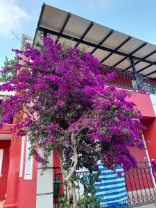 Red Villa Lefkada Greece