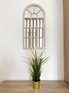 National Arena Studio